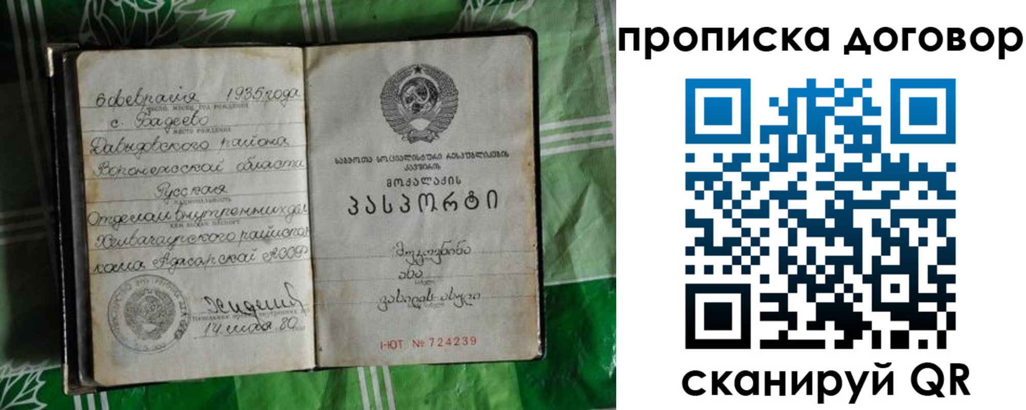 прописка в Таре